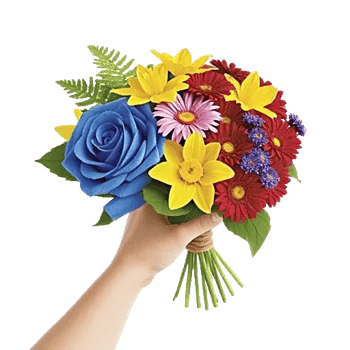 Blossom Petal Serenity