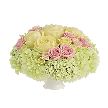 Petal Radiance Bliss