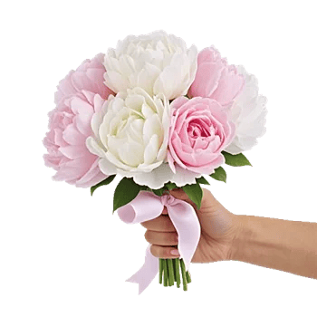 Peony Petal Harmony