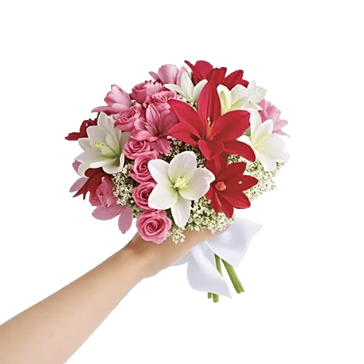 Blossom Petal Serenity