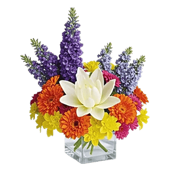 Graceful Lily Display