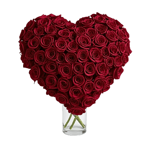 Crimson Rose Elegance