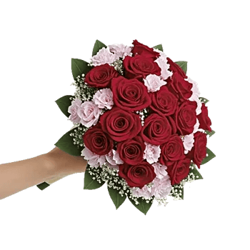 Crimson Rose Elegance