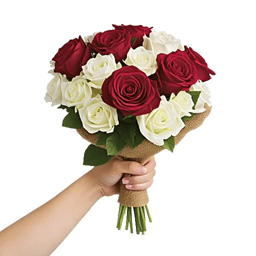 Crimson Rose Elegance