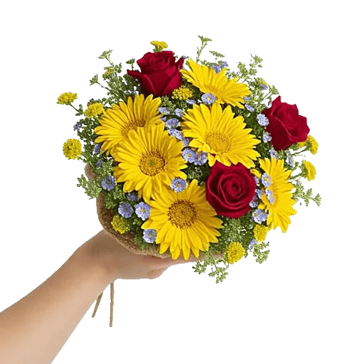 Petal Harmony Bliss