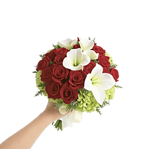 Blushing Rose Symphony