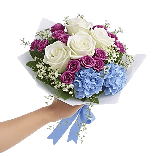 Serene Petal Harmony