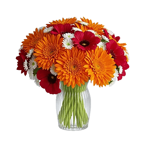 Vibrant Orange Delight