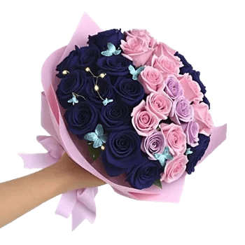 Pastel Pink Roses