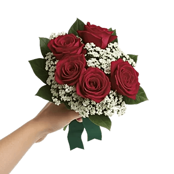 Crimson Rose Elegance