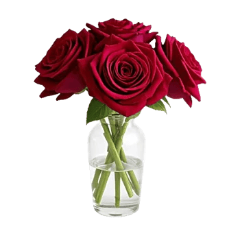 Crimson Rose Elegance