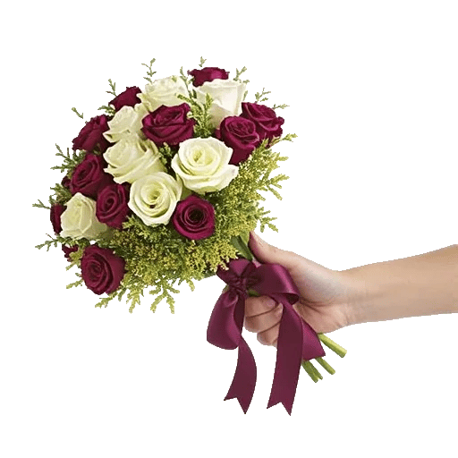 Plum Blossom Radiance