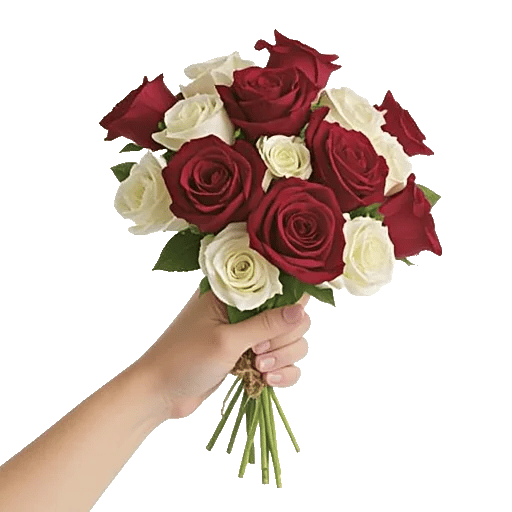 Crimson Rose Elegance