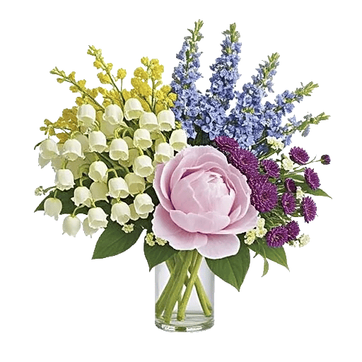 Ivory Blossom Radiance