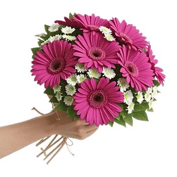 Petal Harmony Bliss