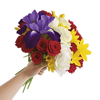 Ivory Blossom Radiance