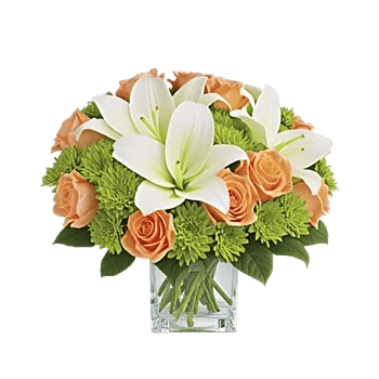 Graceful Lily Display