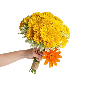 Golden Petal Harmony