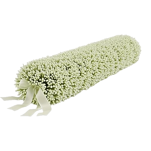 Delicate Petal Cascade