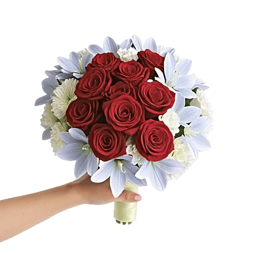 Blushing Rose Symphony