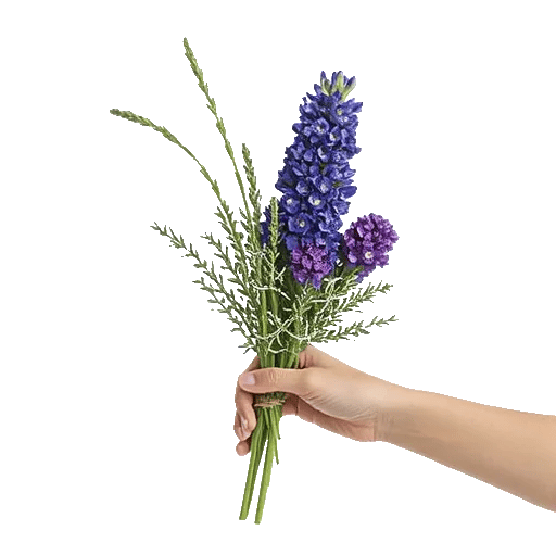 Lavender Bloom Grace