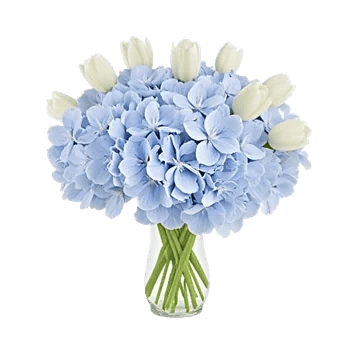 Azure Sky Blooms