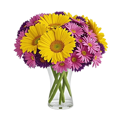 Petal Radiance Bliss