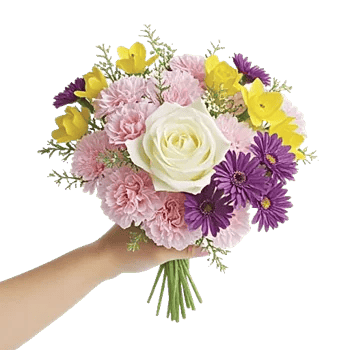 Delicate Petal Cascade