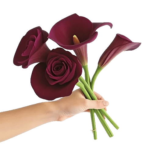 Elegant Calla Lilies
