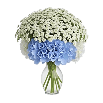 Ivory Blossom Radiance