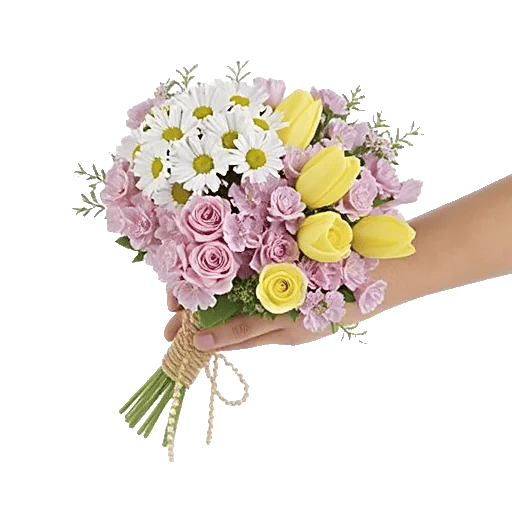 Blossom Petal Serenity