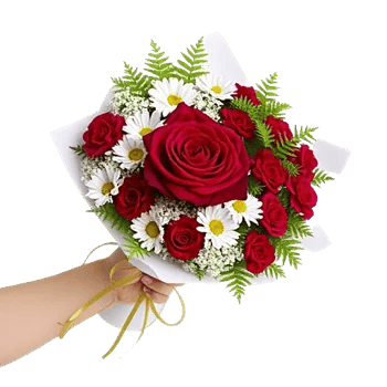 Crimson Rose Elegance