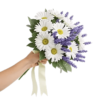 Delicate Petal Cascade