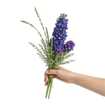 Lavender Bloom Grace