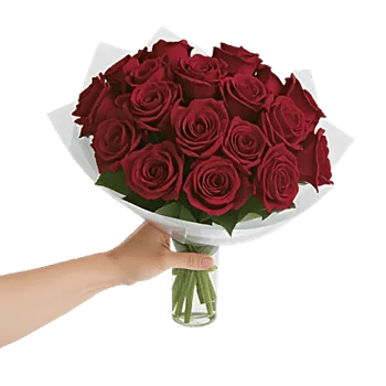 Crimson Rose Elegance