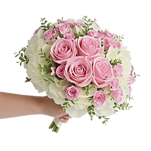 Blushing Rose Symphony