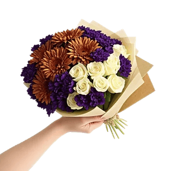 Blushing Rose Symphony