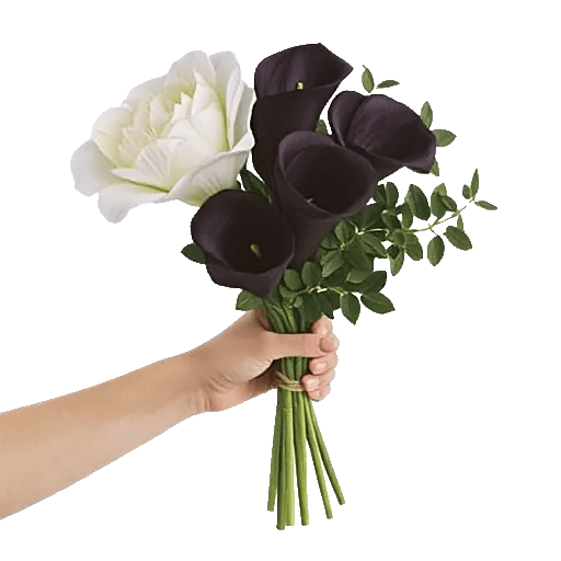 Elegant Calla Lilies