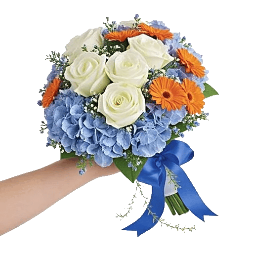 Serene Petal Harmony