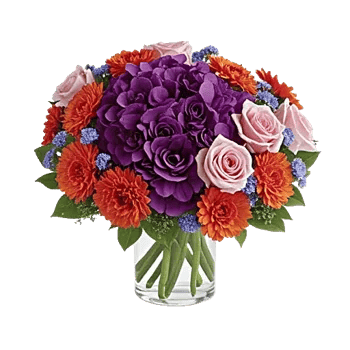 Petal Radiance Bliss