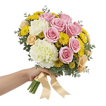 Blushing Rose Symphony