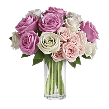 Pink Pastel Roses