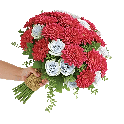 Blushing Rose Symphony