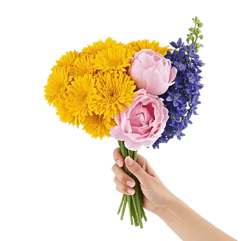 Golden Petal Harmony