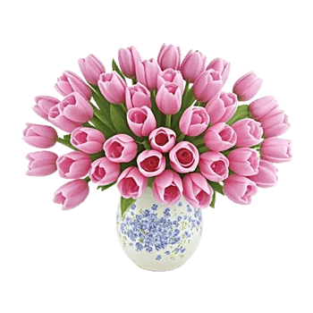 Velvet Tulip Display