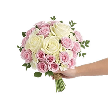 Ivory Garden Grace
