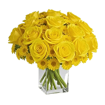 Radiant Bloom Cascade