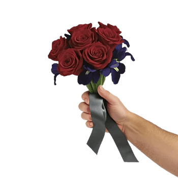 Crimson Rose Elegance