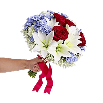 Blushing Rose Symphony