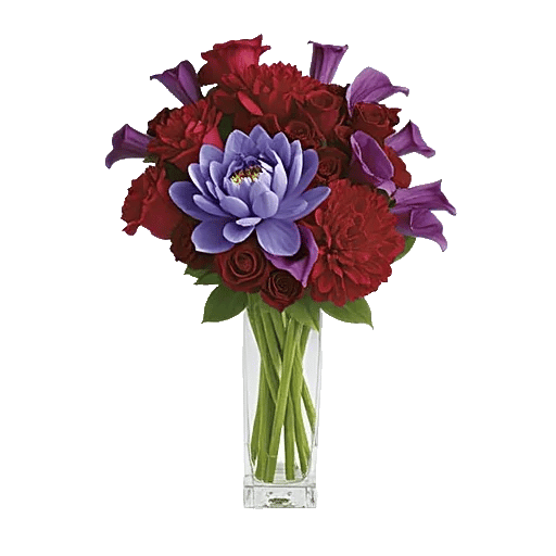 Petal Radiance Bliss